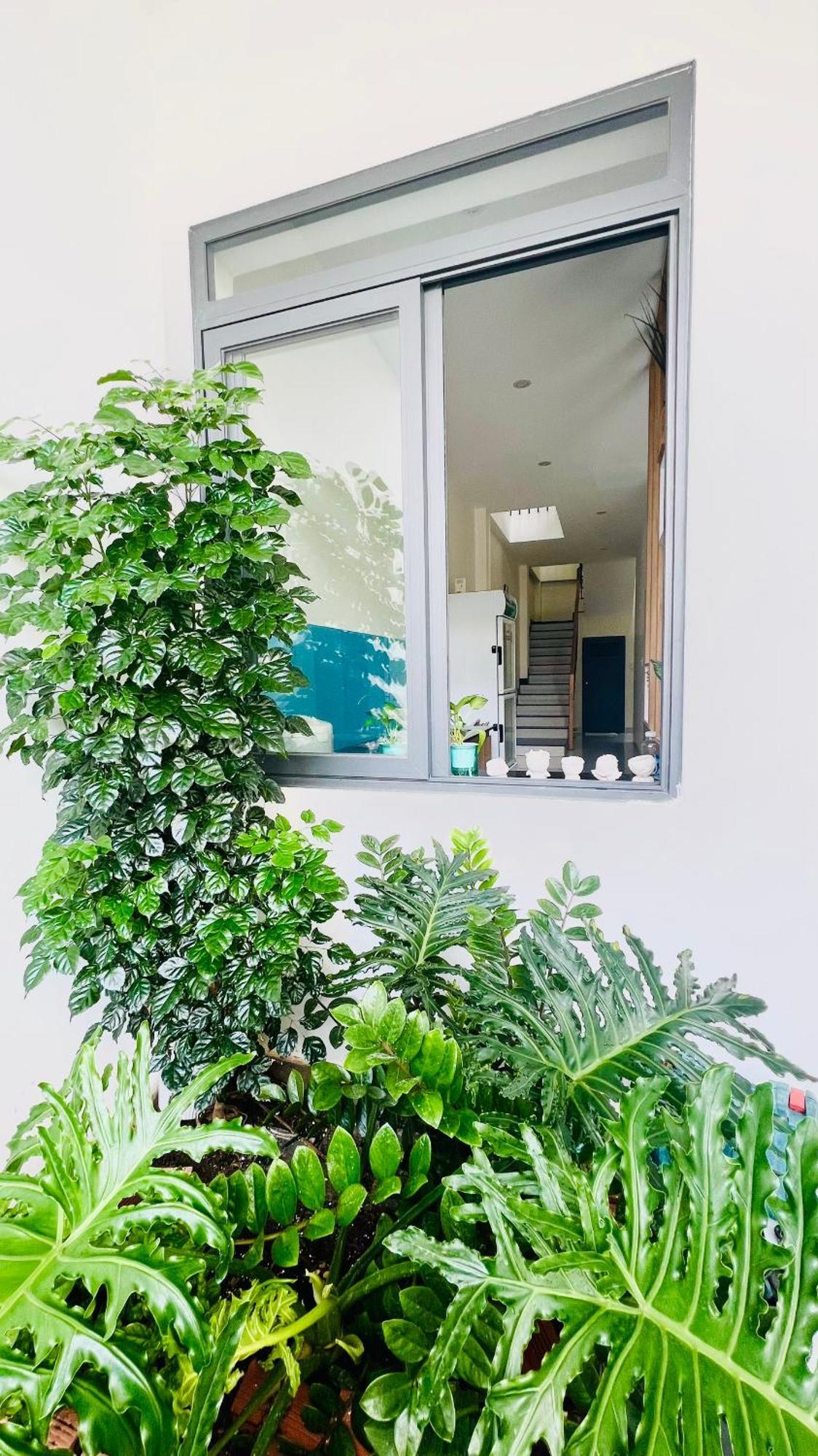 Phi Homestay 3 Room Near Sea, Center - 1988 Homestay Βουνγκ Τάου Εξωτερικό φωτογραφία